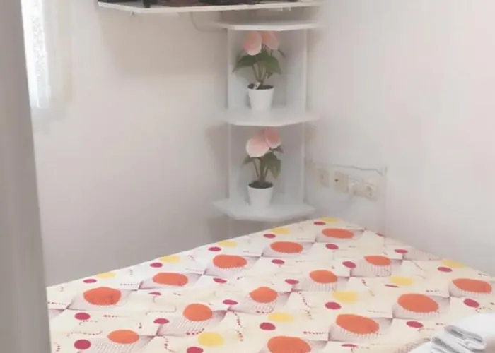 Centar Trivanovic Tipa Novi Sad