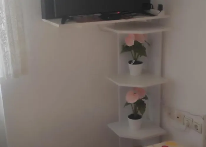 Apartamento Centar Trivanovic Tipa *