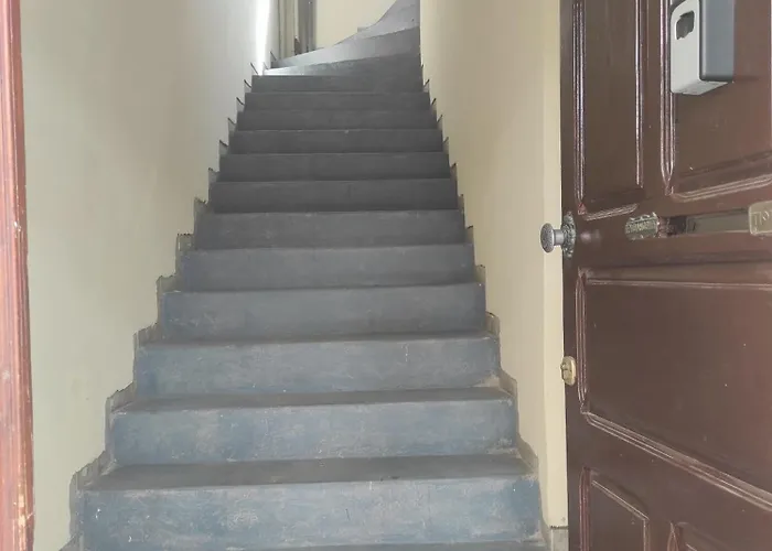 Centar Trivanovic Tipa * Novi Sad